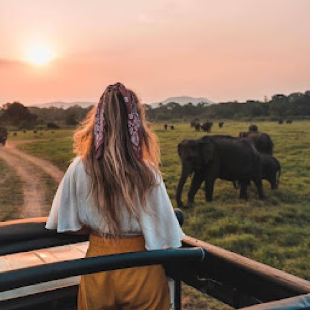 Yala National Park